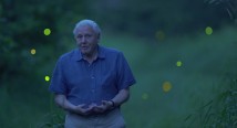 David Attenborough's Light on Earth