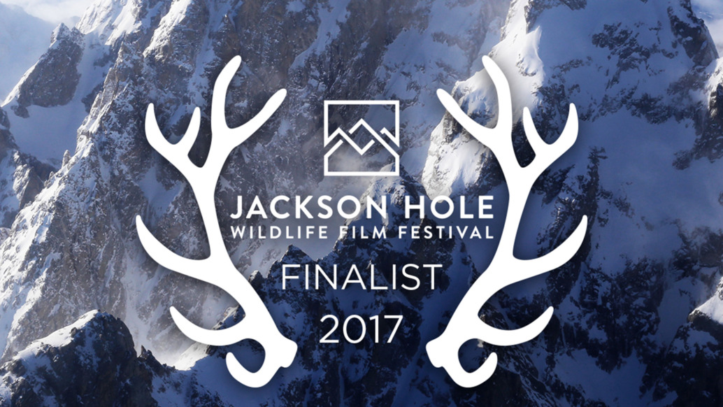 Logo for the 2017 Jackson Hole Wildlife Film Festival Finalist, often dubbed the "nature film Oscars," featuring antlers and mountain graphics over a snowy US mountain backdrop.