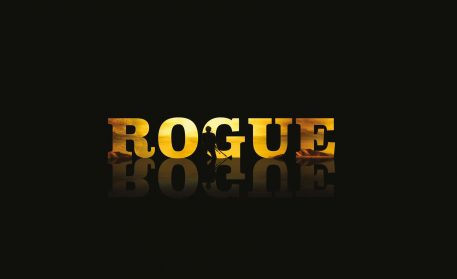 TMFS_Features_Rogue2