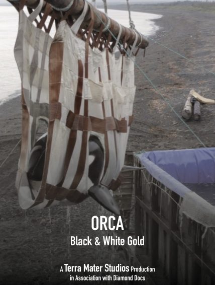 Orca – Black&White Gold