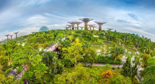Singapore – Wild Day out