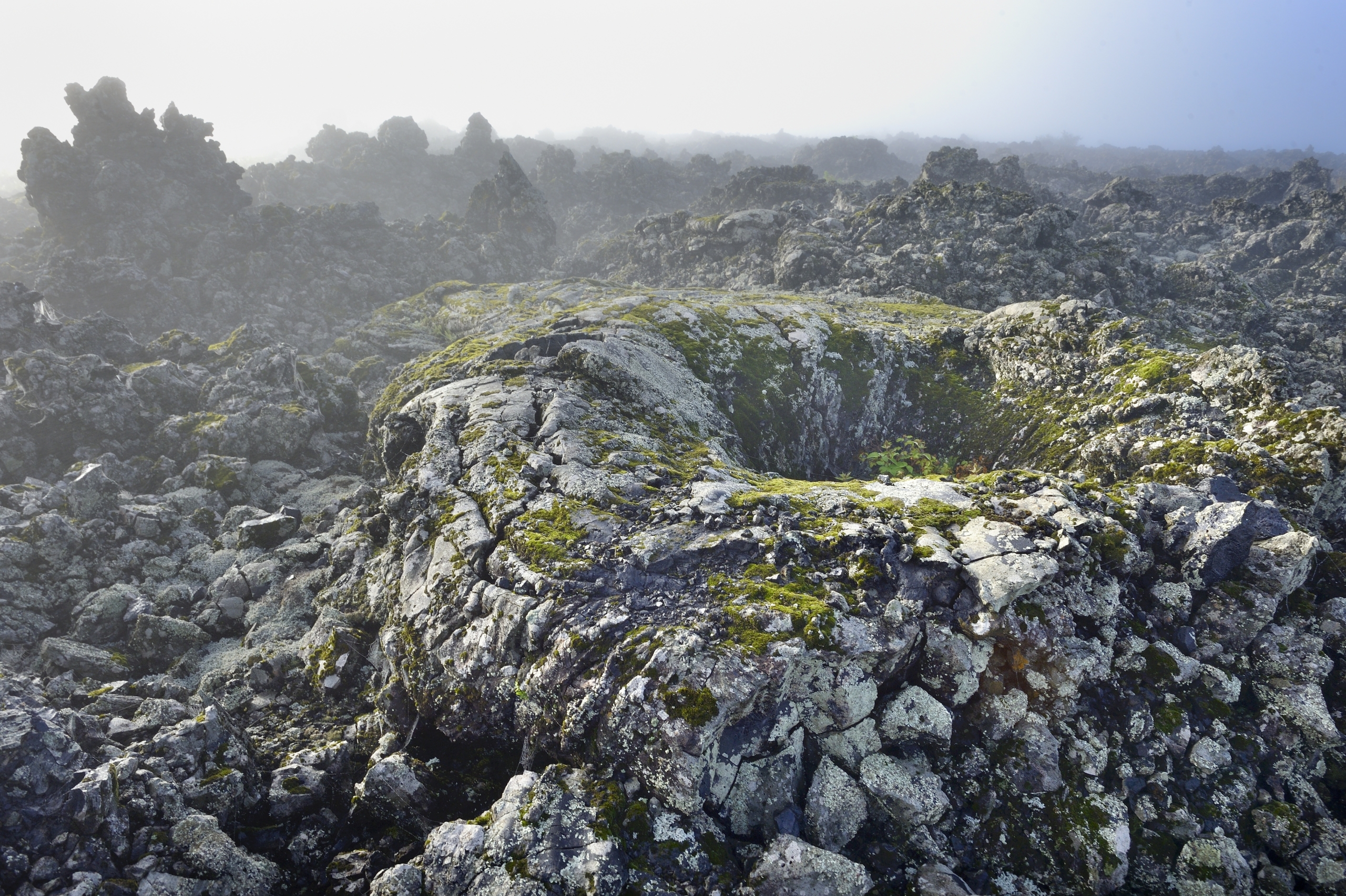 A misty landscape featuring a rugged field of volcanic rocks covered with patches of green moss, reminiscent of Amur's wild beauty. The fog creates a mysterious atmosphere, obscuring the horizon and adding depth to the uneven terrain.