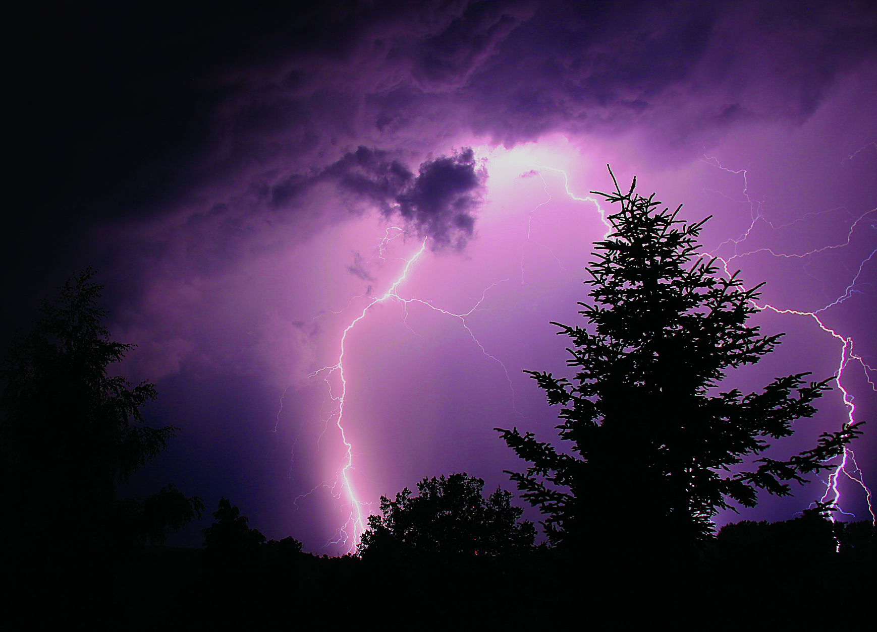 A vibrant purple lightning bolt illuminates the night sky, highlighting silhouetted trees in the foreground. Dark clouds enhance the dramatic atmosphere of this nature's extremes, creating a breathtaking scene that's as awe-inspiring as it is beautiful.