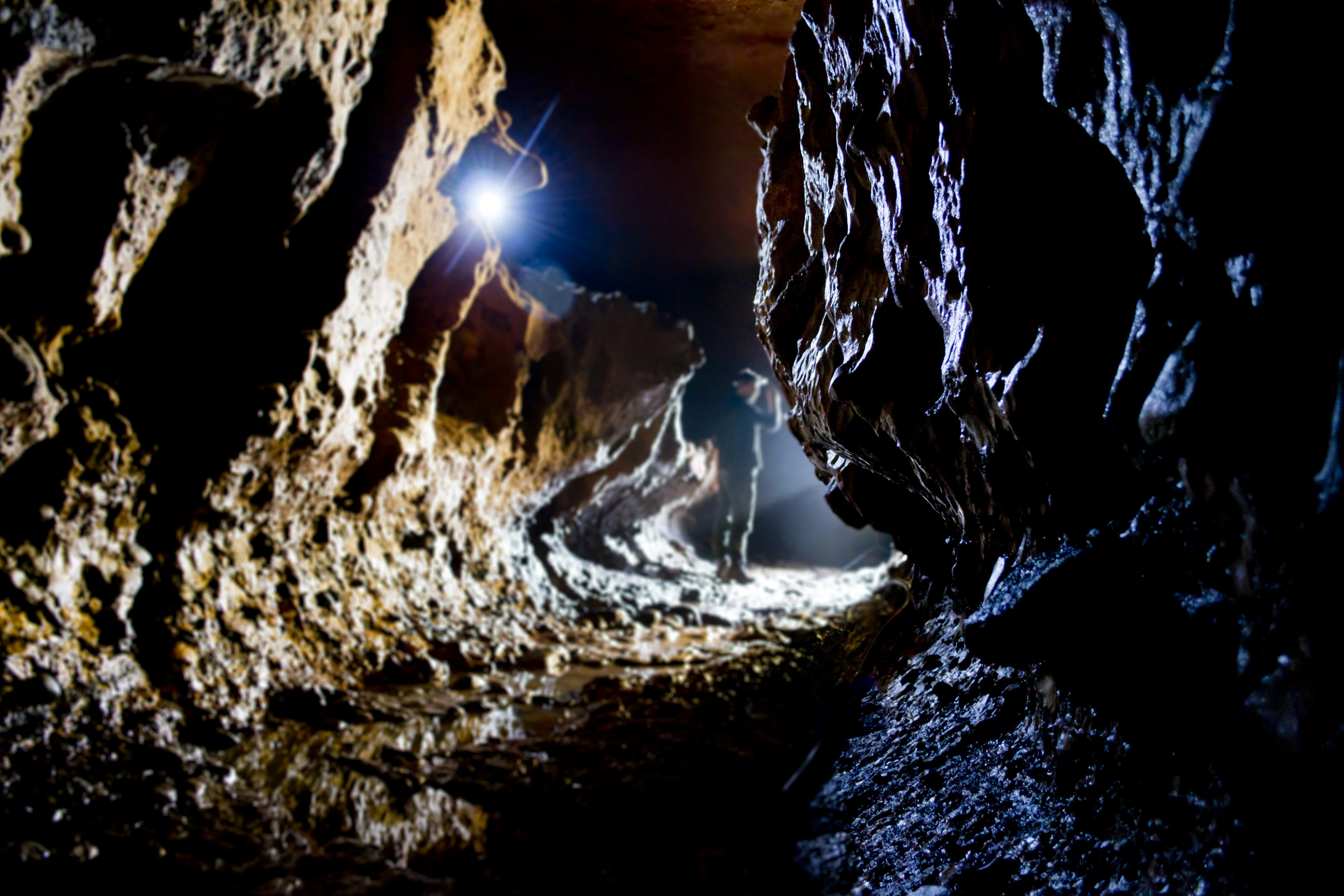 A person stands in a dimly lit, narrow cave with rough, textured walls. A bright light from above casts shadows, revealing the haunting presence of Neanderthals etched into the rugged rock formations. The ground appears wet and uneven, as if concealing a dark secret beneath its surface.
