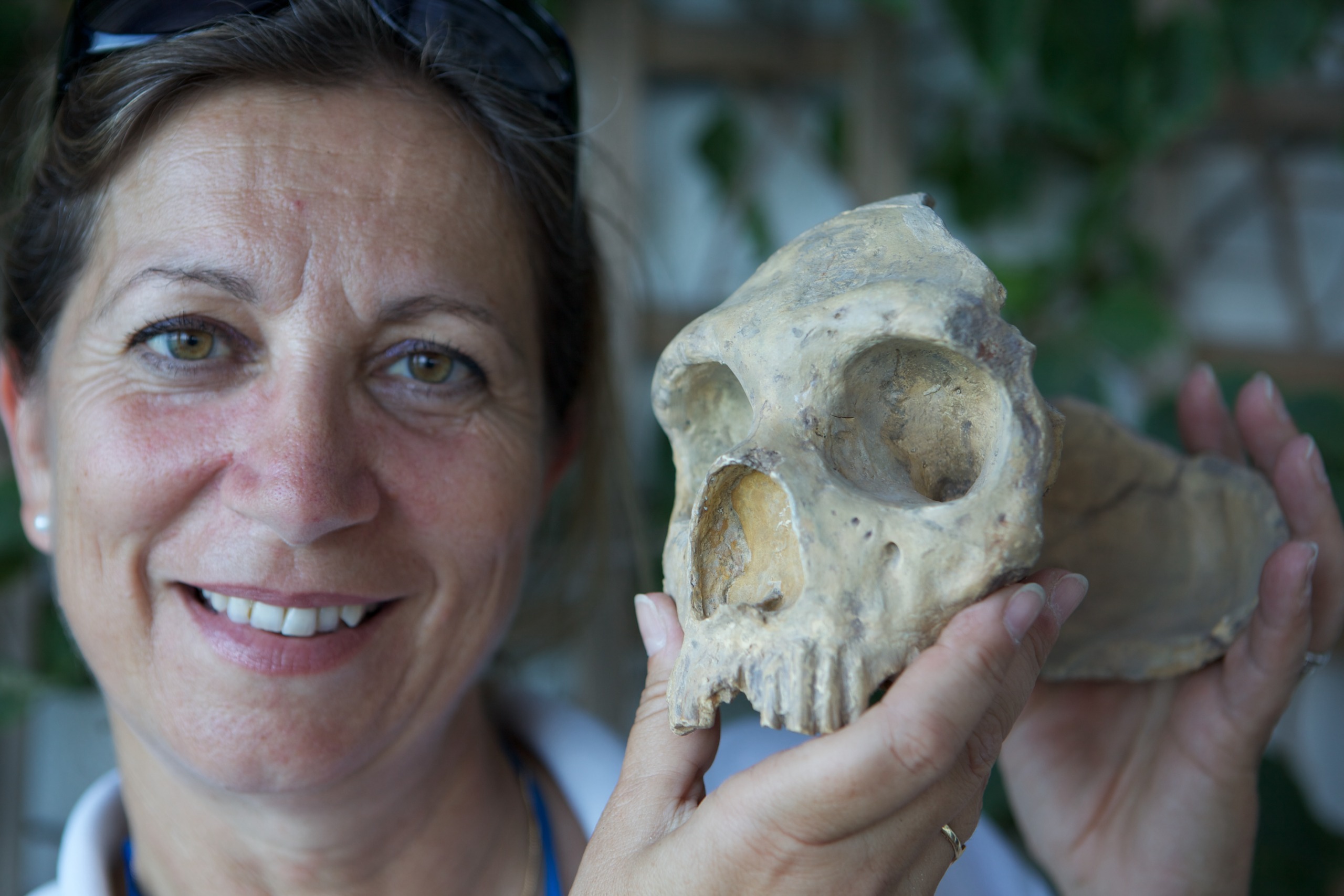 A woman smiles mysteriously, holding a primate skull near her face. With light brown hair and sunglasses perched on her head, she exudes curiosity about the Neanderthals. The blurred greenery in the background hints at nature's dark secrets waiting to be uncovered.
