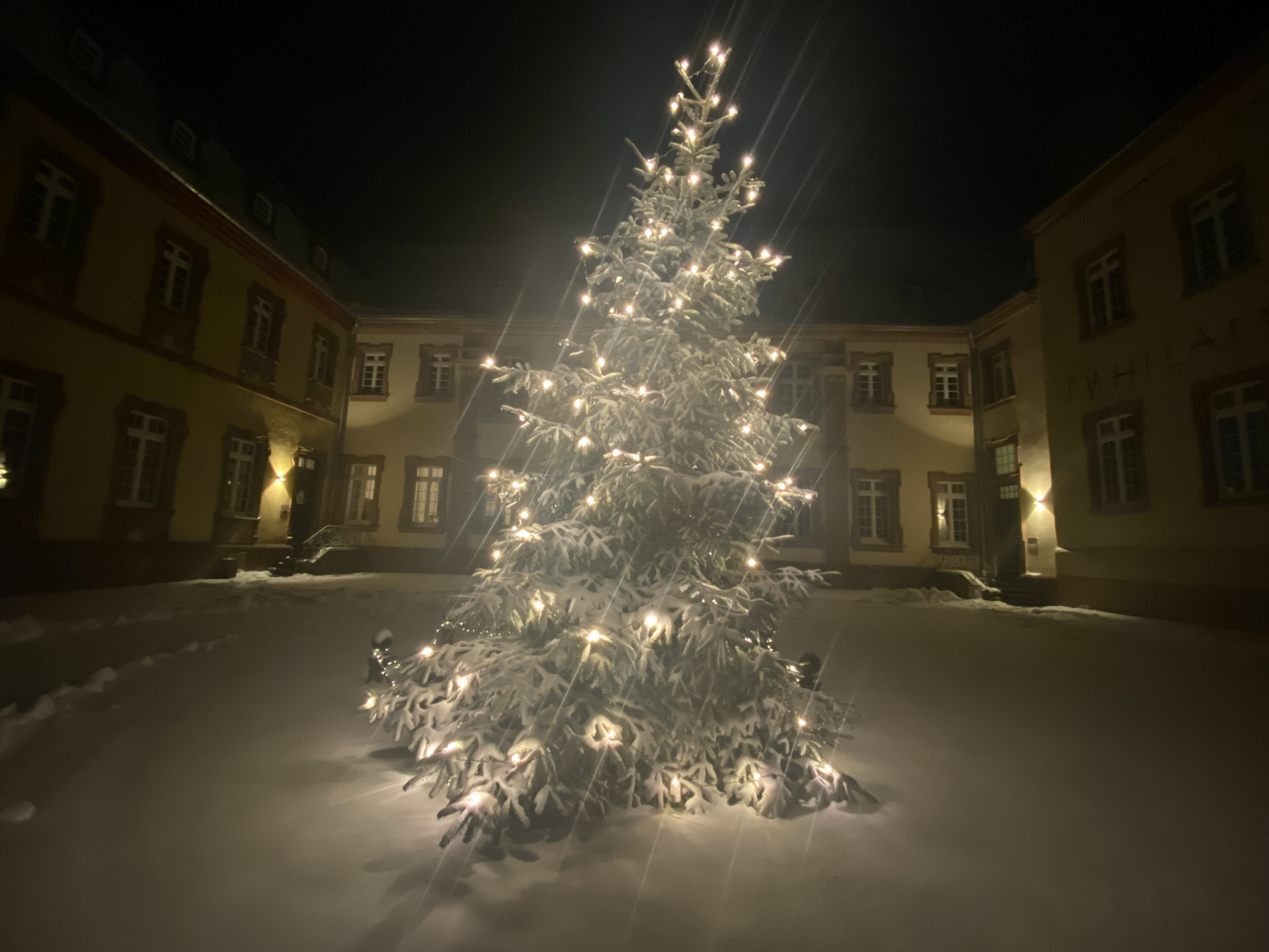 A snow-covered Christmas tree adorned with glowing white lights stands in the center of a snowy courtyard at night, surrounded by illuminated buildings, capturing the magic of the holiday and Christmas spirit amidst winter's nature.