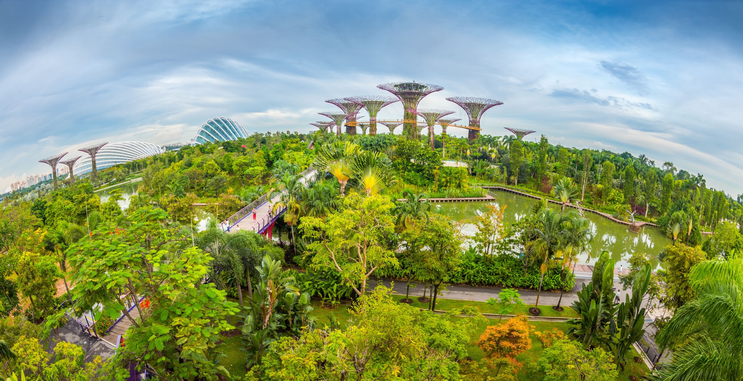 A lush, green park in Singapore with diverse plant life and futuristic, tree-like structures under a blue sky. Perfect for a wild day out, walkways meander through the garden, and domed greenhouses are visible in the background, blending nature and modern architecture.