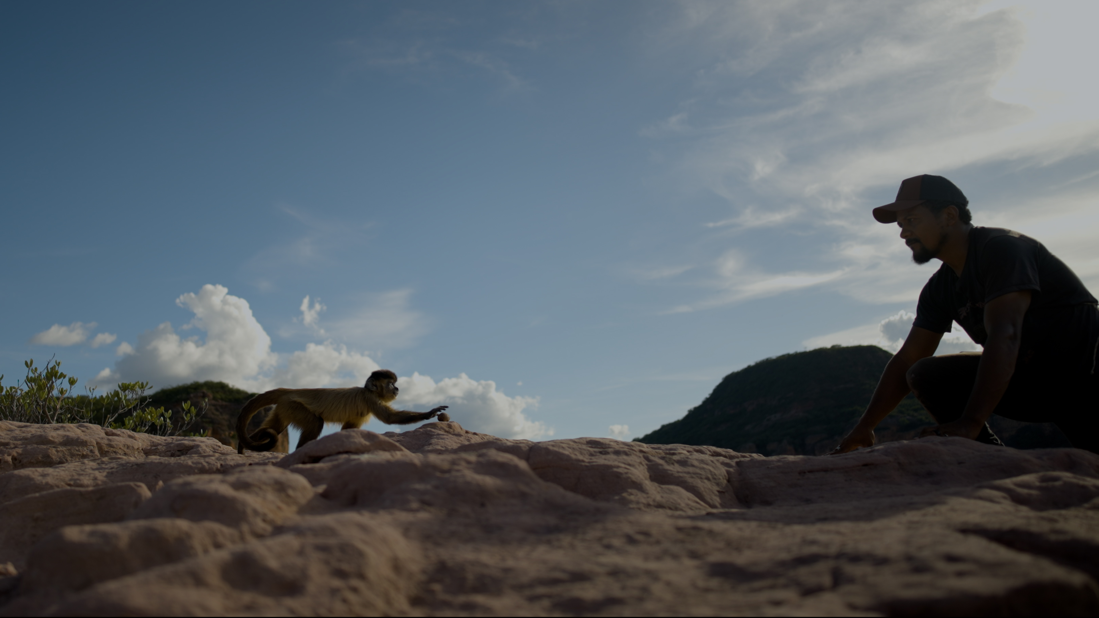 A man wearing a baseball cap reaches toward a small monkey walking across a rocky, elevated landscape, highlighting their intertwined lives.