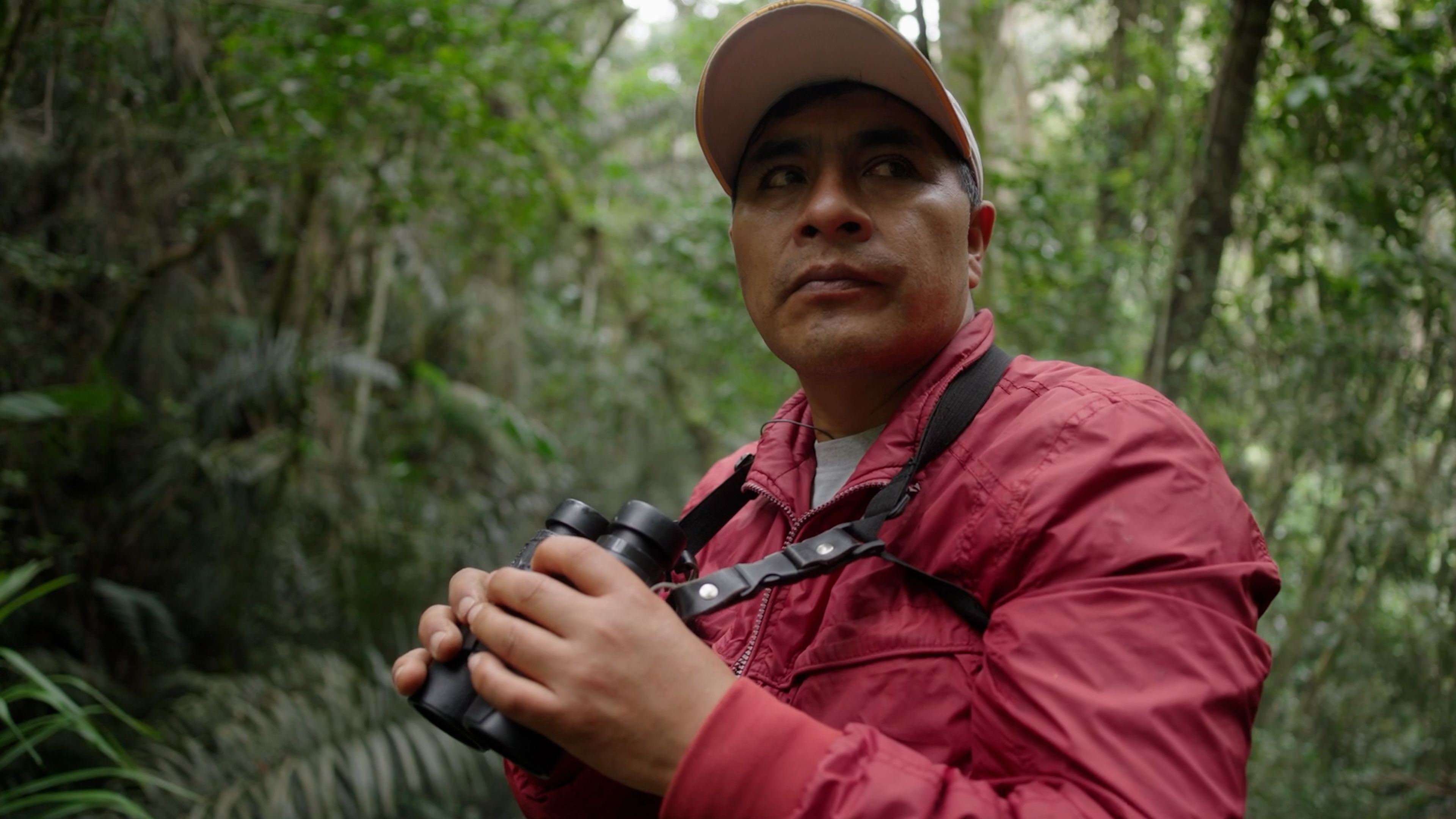A man in a red jacket and baseball cap holds binoculars while looking through a dense forest, reflecting a deep connection to the natural bonds of the wilderness.