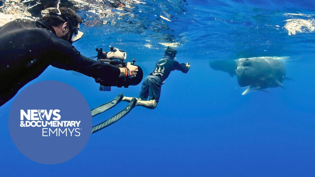 A diver swims underwater near a large sunfish while a cameraman films them. The water is clear blue, and a circular logo for the Emmy Awards appears in the left foreground.