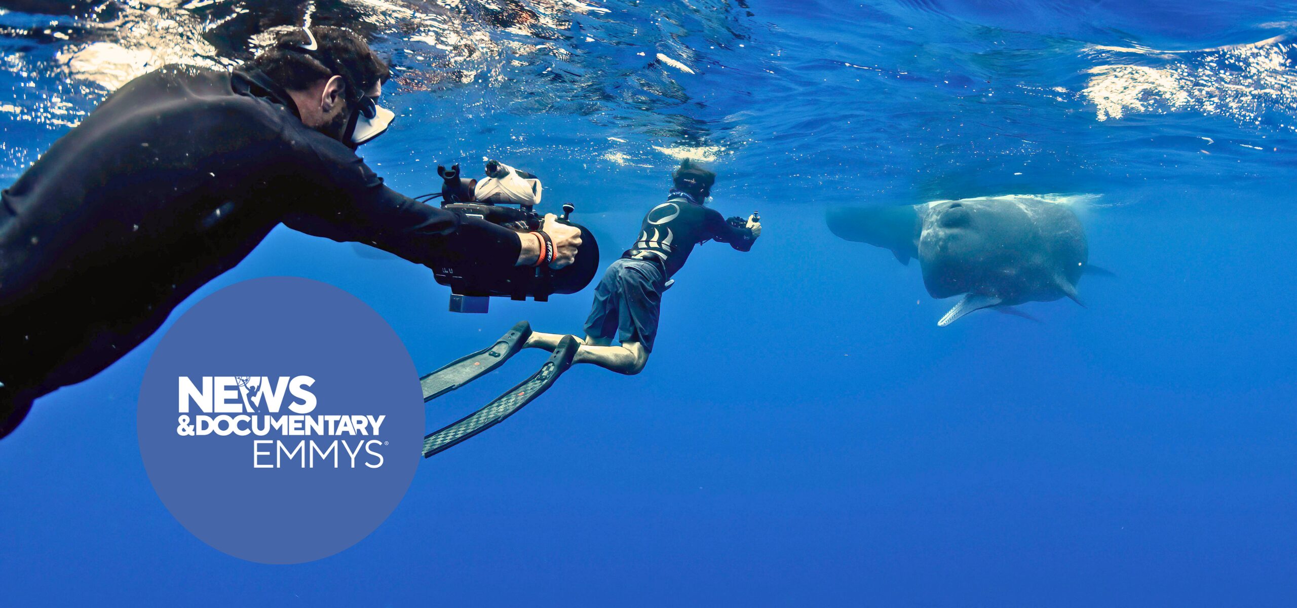A diver swims underwater near a large sunfish while a cameraman films them. The water is clear blue, and a circular logo for the Emmy Awards appears in the left foreground.