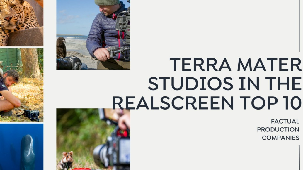 A graphic featuring wildlife images—cheetahs, a man filming, a diver near a whale, and a close-up of a camera—celebrates Terra Mater Studios’ recognition in the Realscreen top 10 factual production companies.