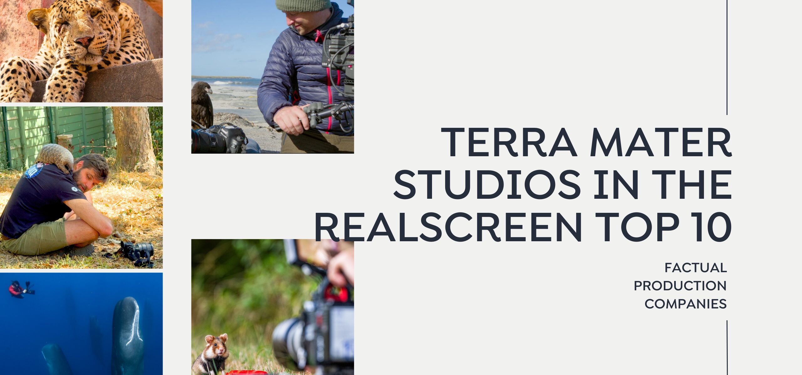 A graphic featuring wildlife images—cheetahs, a man filming, a diver near a whale, and a close-up of a camera—celebrates Terra Mater Studios’ recognition in the Realscreen top 10 factual production companies.