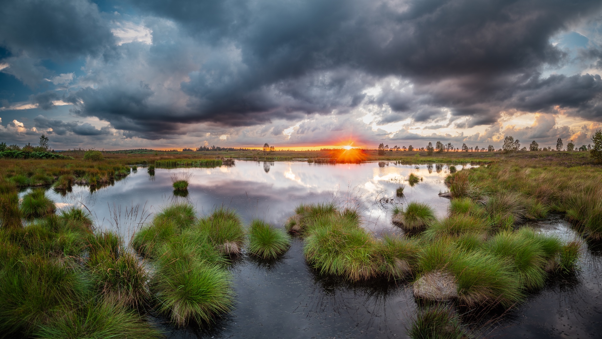 A dramatic sunset over a marshland, where patches of tall green grass and dark water reflect the cloudy sky and orange glow of the sun, hinting at the hidden life beneath the tranquil surface.