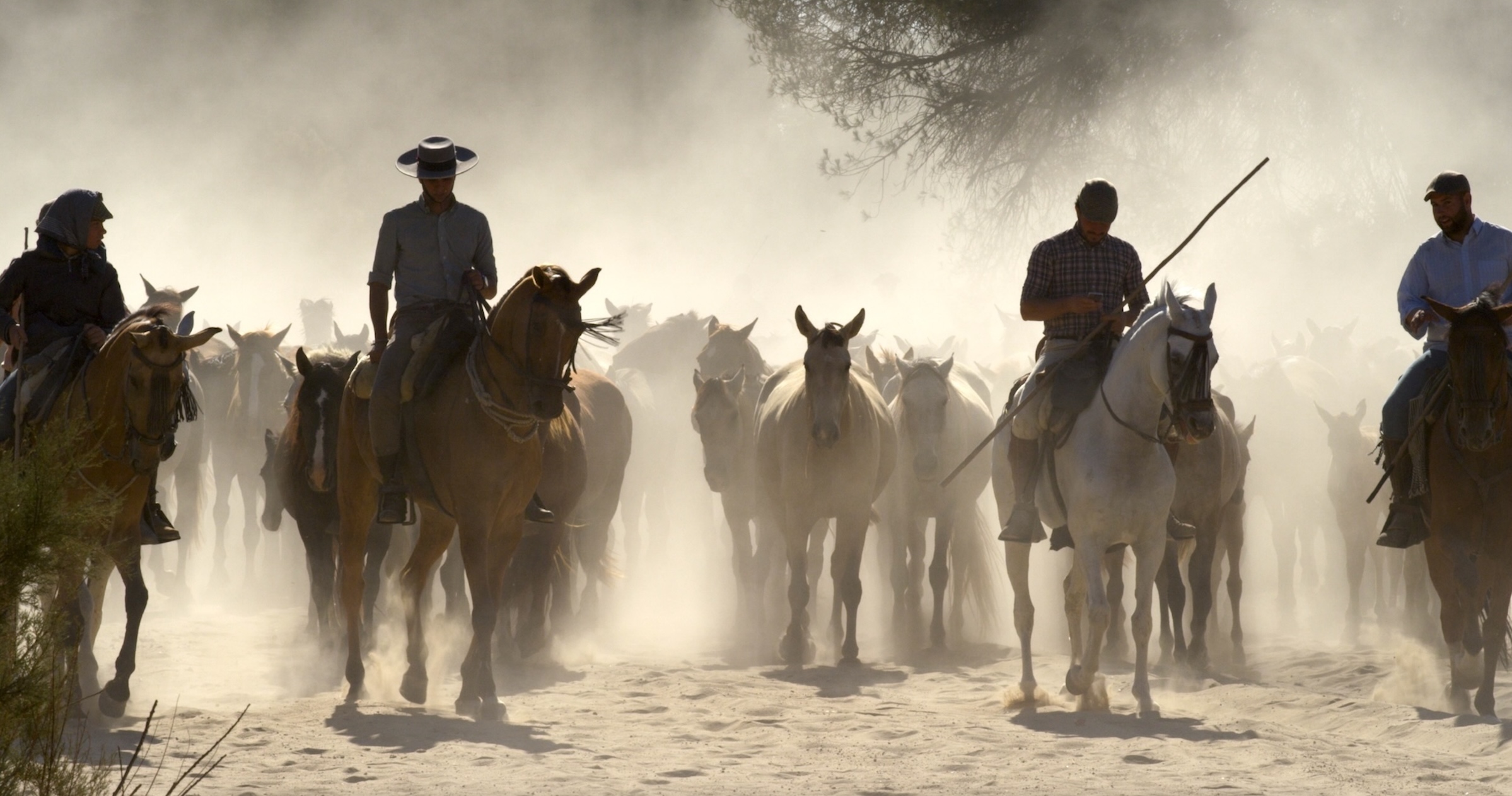 Four people on horseback guide a herd of horses through a dusty landscape in Doñana, Spain, sunlight filtering through the haze as the riders and animals move forward.