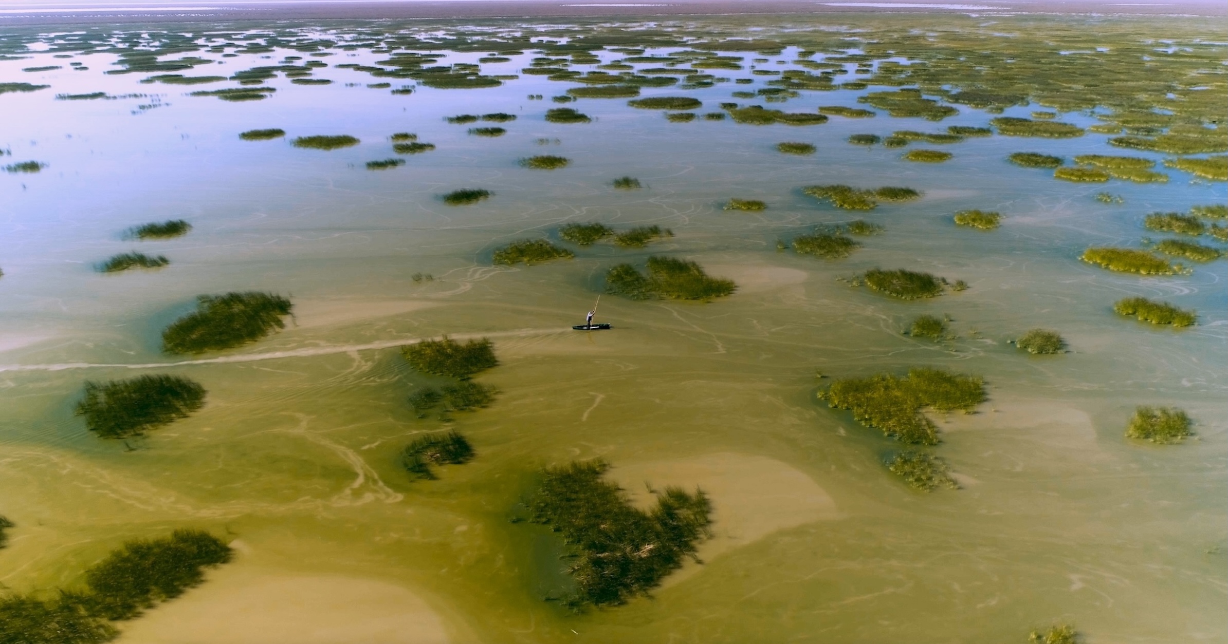 A lone person paddles a small boat across a shallow body of water in Doñana, Spain, with scattered patches of green vegetation reflecting the sky above, evoking the serenity of a modern Garden of Eden.