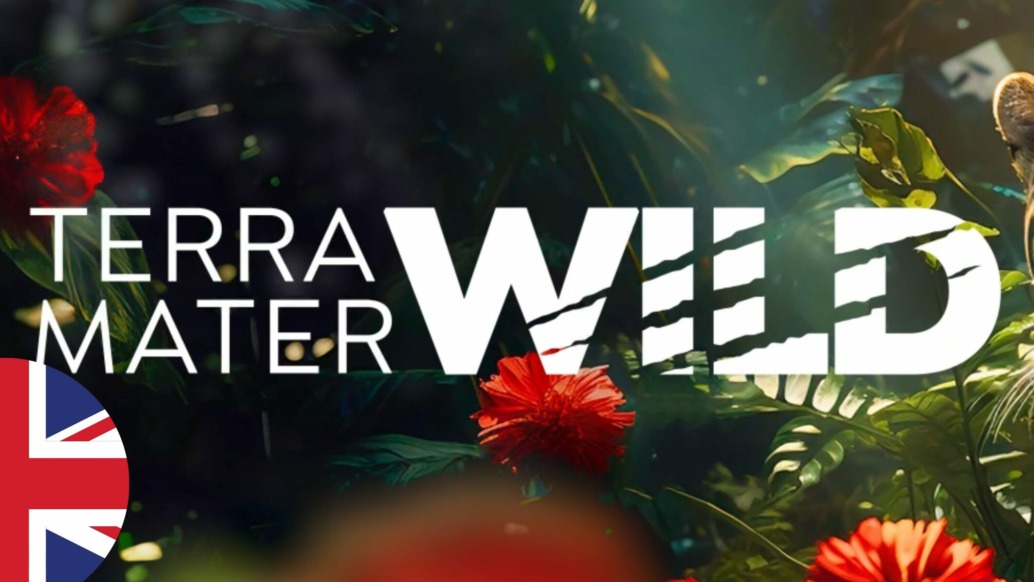 A jungle scene with bold white text reading Terra Mater WILD, perfect for a wildlife channel, is surrounded by red flowers and foliage, with a jaguar’s face on the right and a British flag icon in the lower left corner.