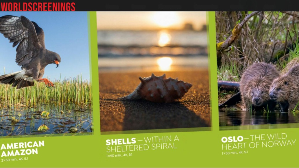 A dark bird hovers over water in tall grass, a seashell rests on sand at sunset, and two beavers sit together by a pond, each image featuring world screen program titles and descriptions.