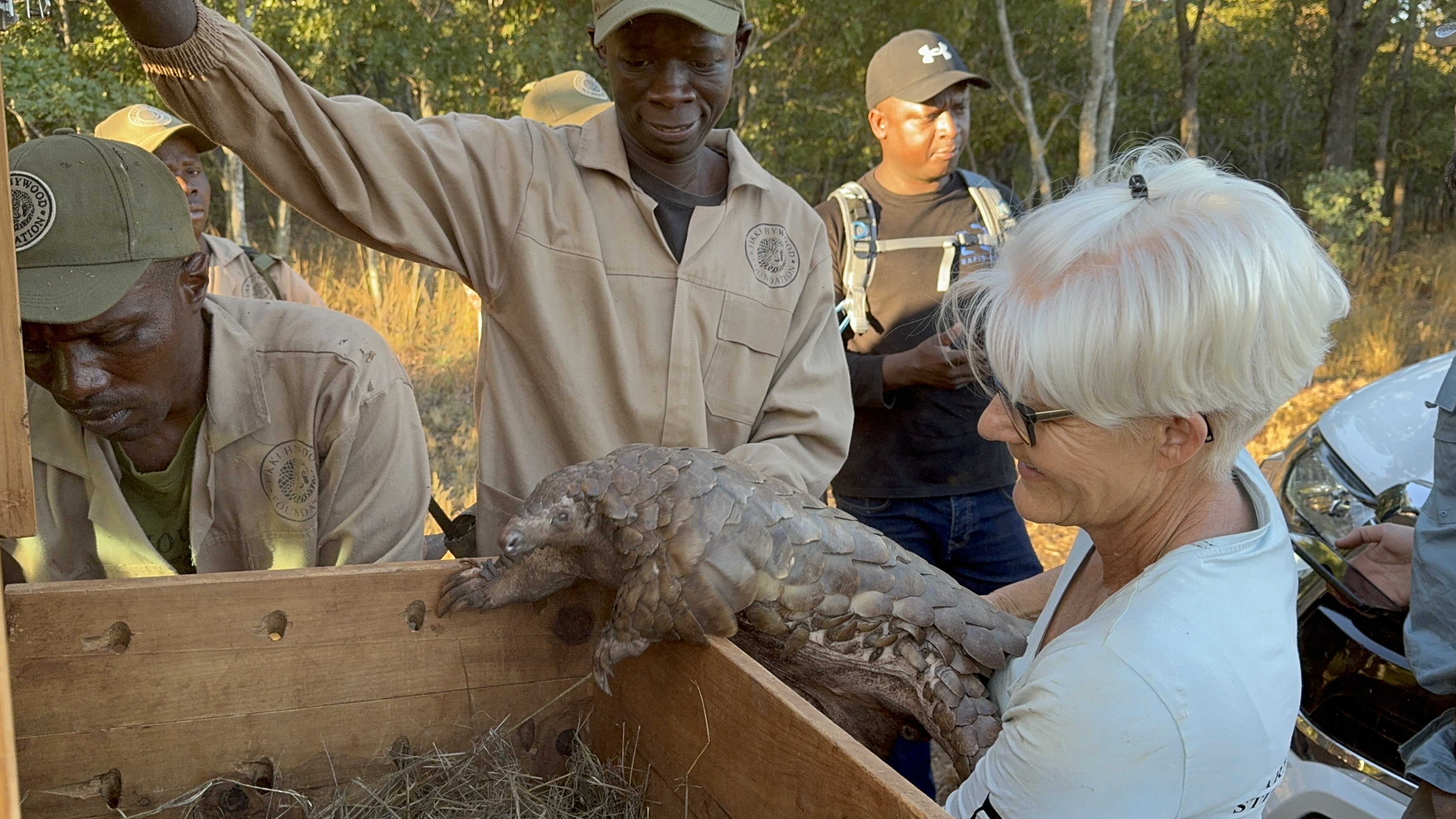 A group of people, including uniformed men and a woman with short white hair and sunglasses, gently handle a pangolin near a wooden crate in an outdoor, forested setting—reminiscent of scenes featured in Panda Awards-nominated films.