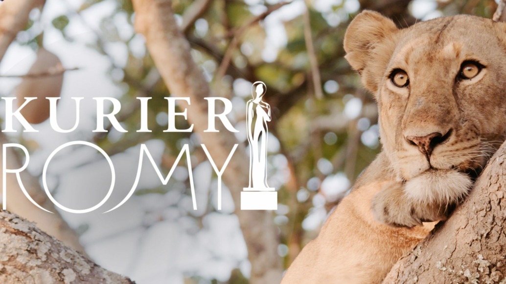 A lioness rests on a tree branch in Katavi, gazing into the distance. Overlay text reads KURIER ROMY Award next to a stylized trophy silhouette, with leafy branches and echoes of Africa's Fallen Paradise in the background.