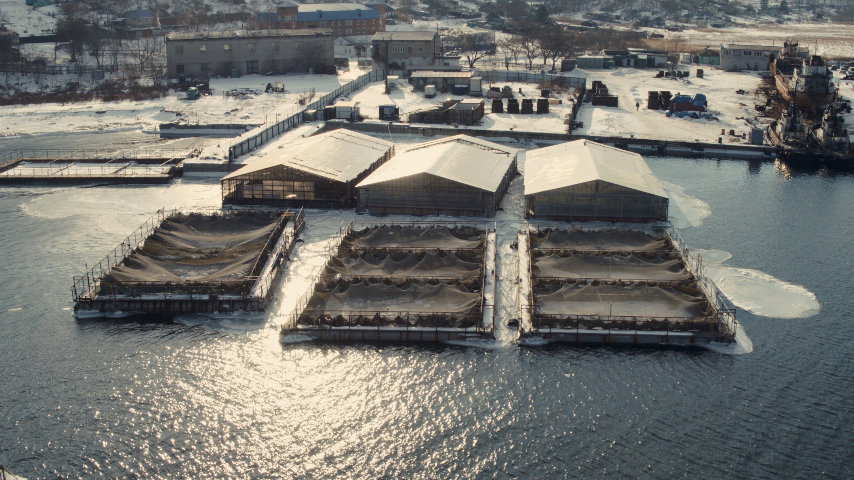 Aerial view of a fish farm on a body of water in winter, with three large covered structures and multiple netted enclosures; snowy land and industrial buildings in the background.