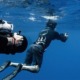 A diver films a large sunfish underwater while another diver records the scene. The text reads, Don't fake it, just shoot it! Elevate your impact storytelling with the industry standard. Wild Footage AI Free logo appears on the right.