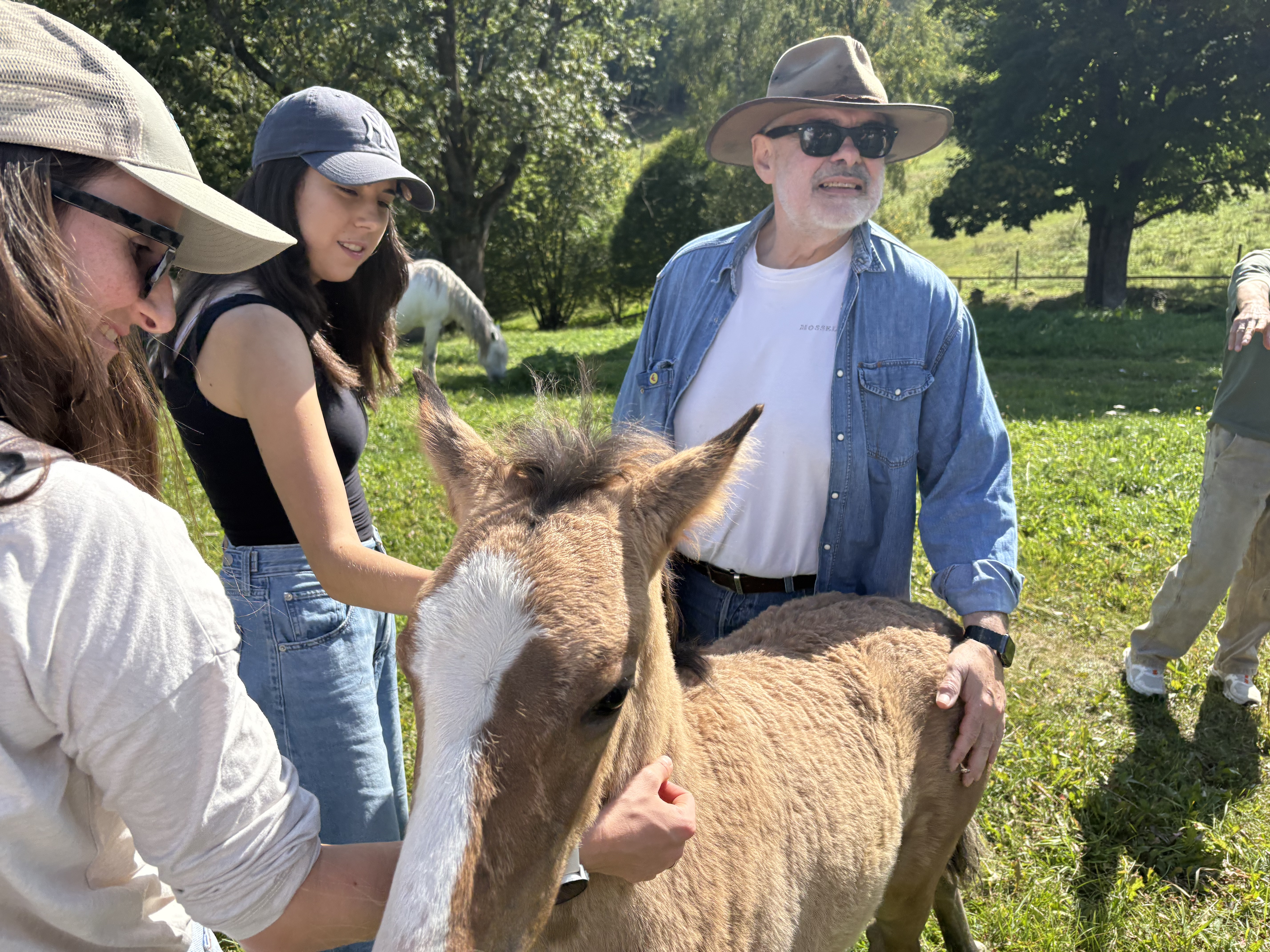 Three people stand outdoors on grass, petting a light brown foal. In this Terra Mater Studios moment, they appear happy and relaxed, wearing casual clothes and hats. Trees and another horse are visible in the sunny background.