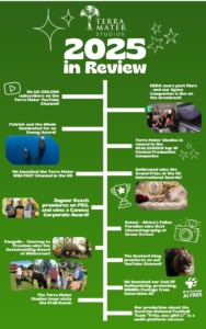 Infographic timeline titled 2025 Year in Review by Terra Mater Studios, highlighting key achievements like YouTube milestones, awards, new channels, and nature documentary releases with related photos and green design elements.