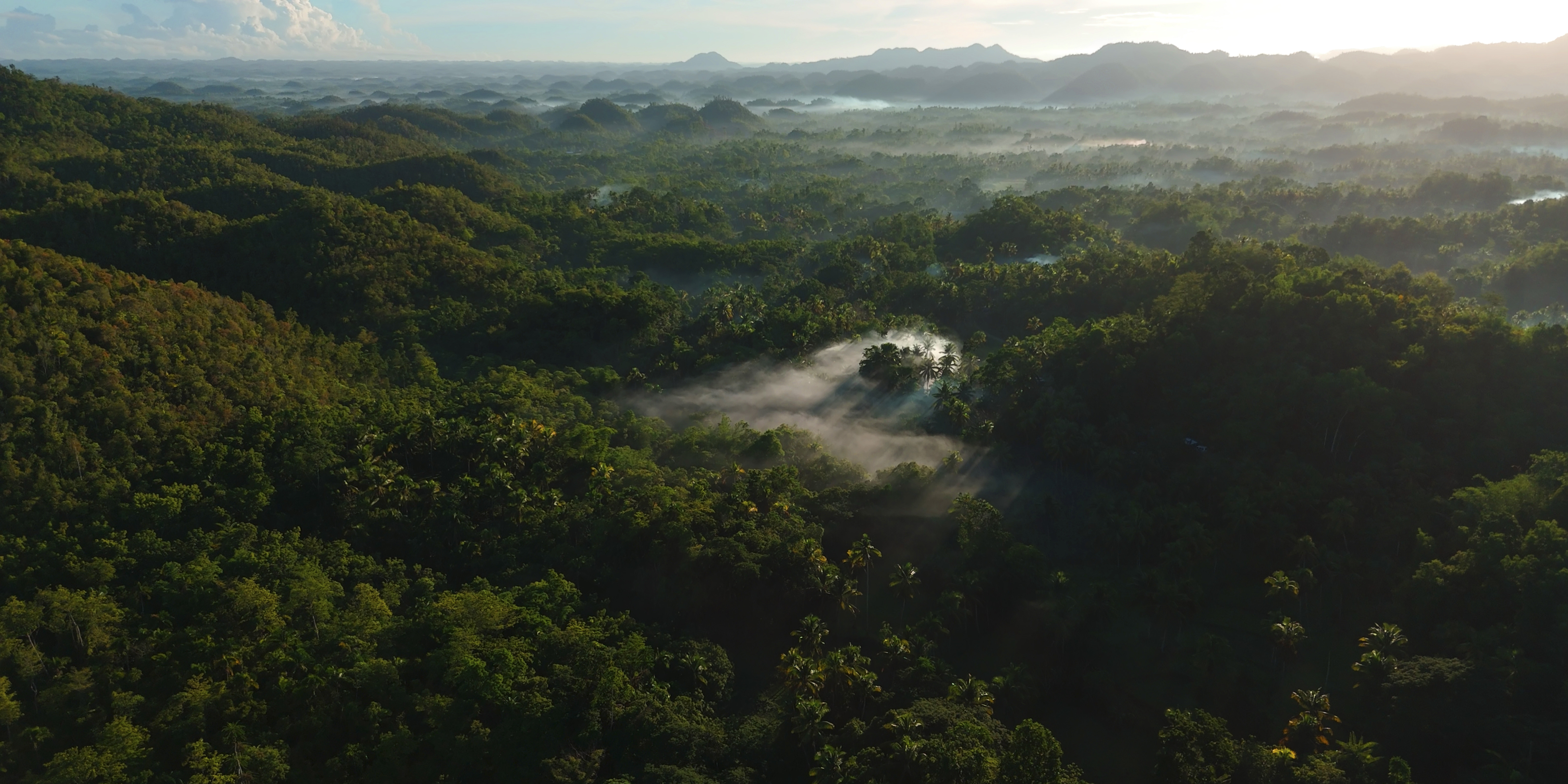 Aerial view of a lush, green tropical forest with hills and scattered low mist, illuminated by soft early morning sunlight, with distant mountains and a hazy sky in the background.