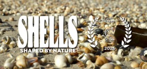 A close-up of various seashells scattered on a sandy beach with bold white text reading Shells Shaped by Nature. Highlighted are two award laurels and the words Jury Award International Ocean Film Festival 2025—Shells - Shaped By Nature won Awards.