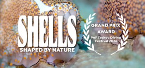 Close-up of a spotted sea snail on the ocean floor with bold text reading Shells Shaped by Nature, celebrating that Shells - Shaped By Nature won Awards including the Grand Prix at the PAF Tachov Diving Festival 2026.