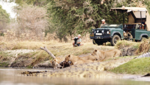 A group of lions drinks water at a riverbank, while two people observe nearby—one kneeling with a camera, another in an open green safari vehicle under trees, capturing the wild beauty that earned an Emmys Nomination for Katavi.