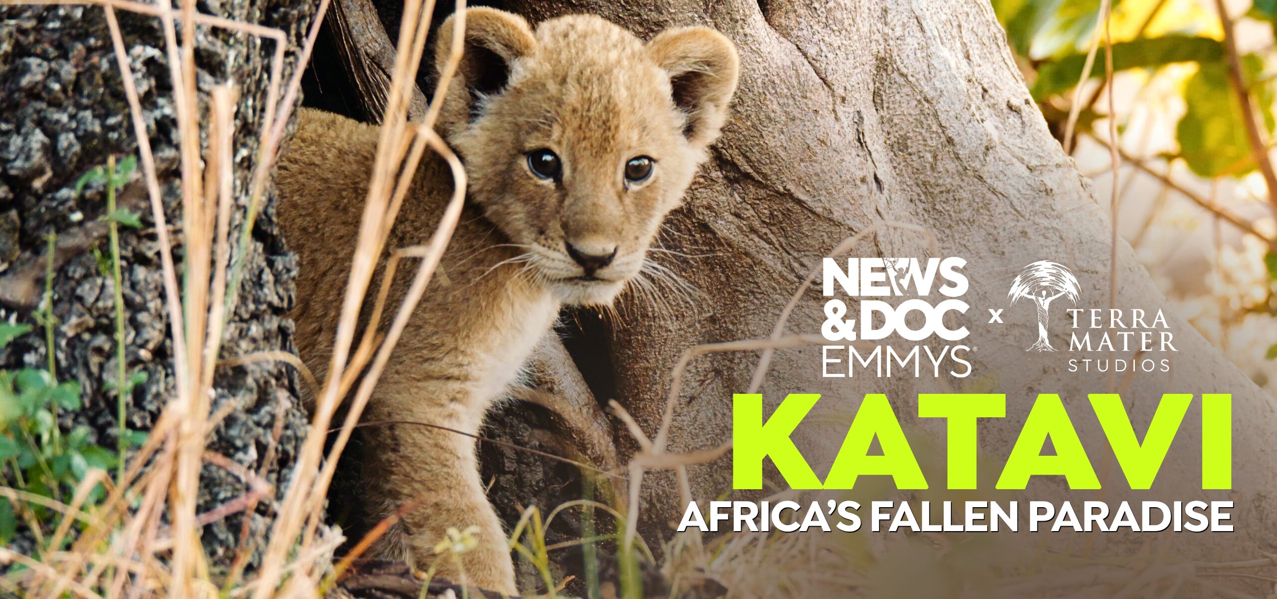A lion cub crouches by a tree trunk in tall grass. Text reads: Emmy Award NEWS & DOC EMMYS x TERRA MATER STUDIOS. KATAVI: AFRICA’S FALLEN PARADISE.
