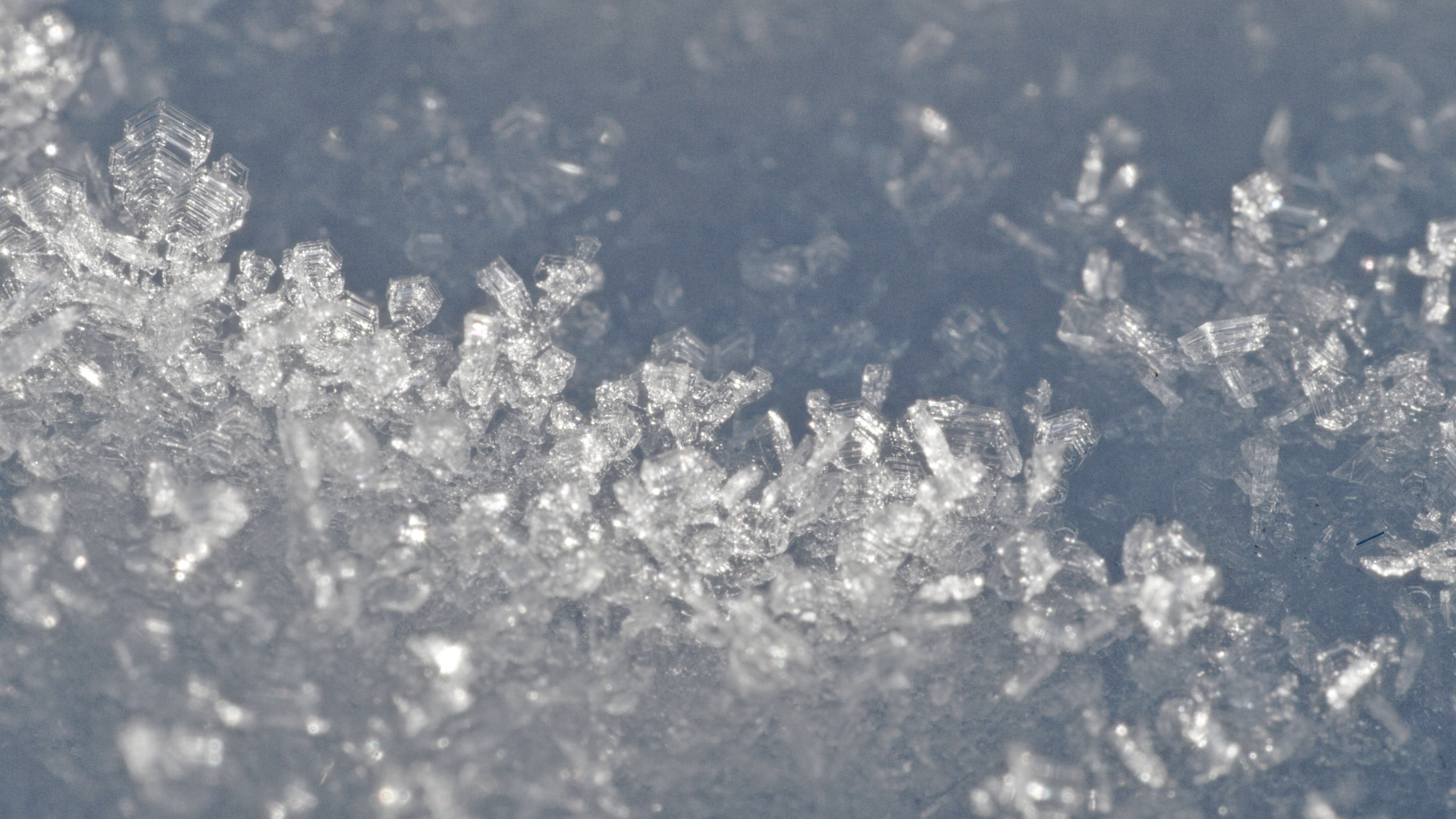 Close-up of sparkling, intricate ice crystals clustered together on a smooth surface, with a cool blue tint and soft background blur.