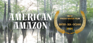 A swamp with cypress trees and knees. Text: AMERICAN AMAZON. Gold laurel reads, Best Fresh Water Film, Win IFF Water Sea Ocean, 2026. Mist rises above the water.