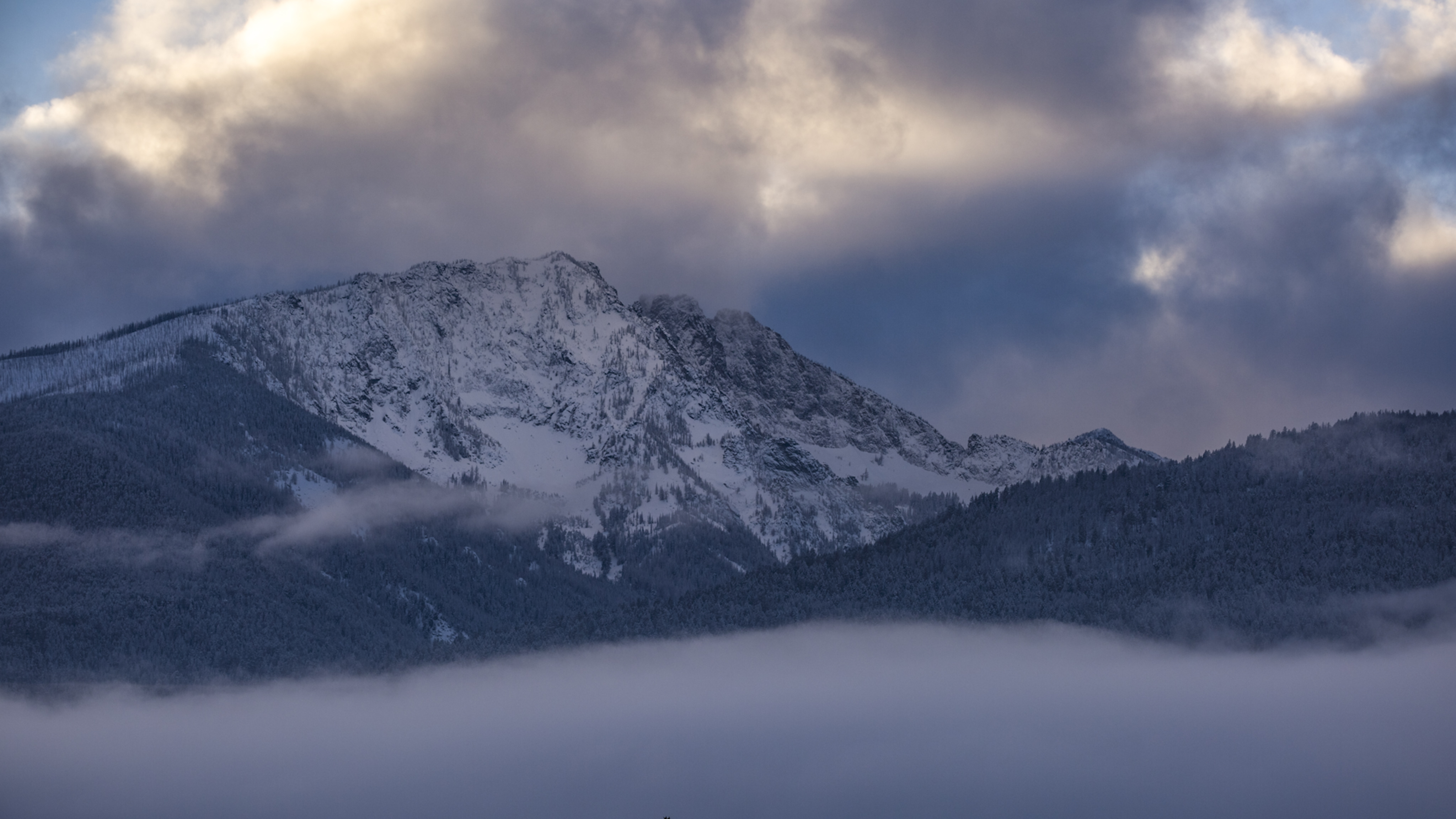 Snow-capped mountain peak with dense clouds above and a layer of fog below, partially obscuring dark, forested slopes—just the kind of landscape you might find in the pages of the *Diary of a Mountain Lion*, where every shadow hints at Willow’s silent passage through the wild.