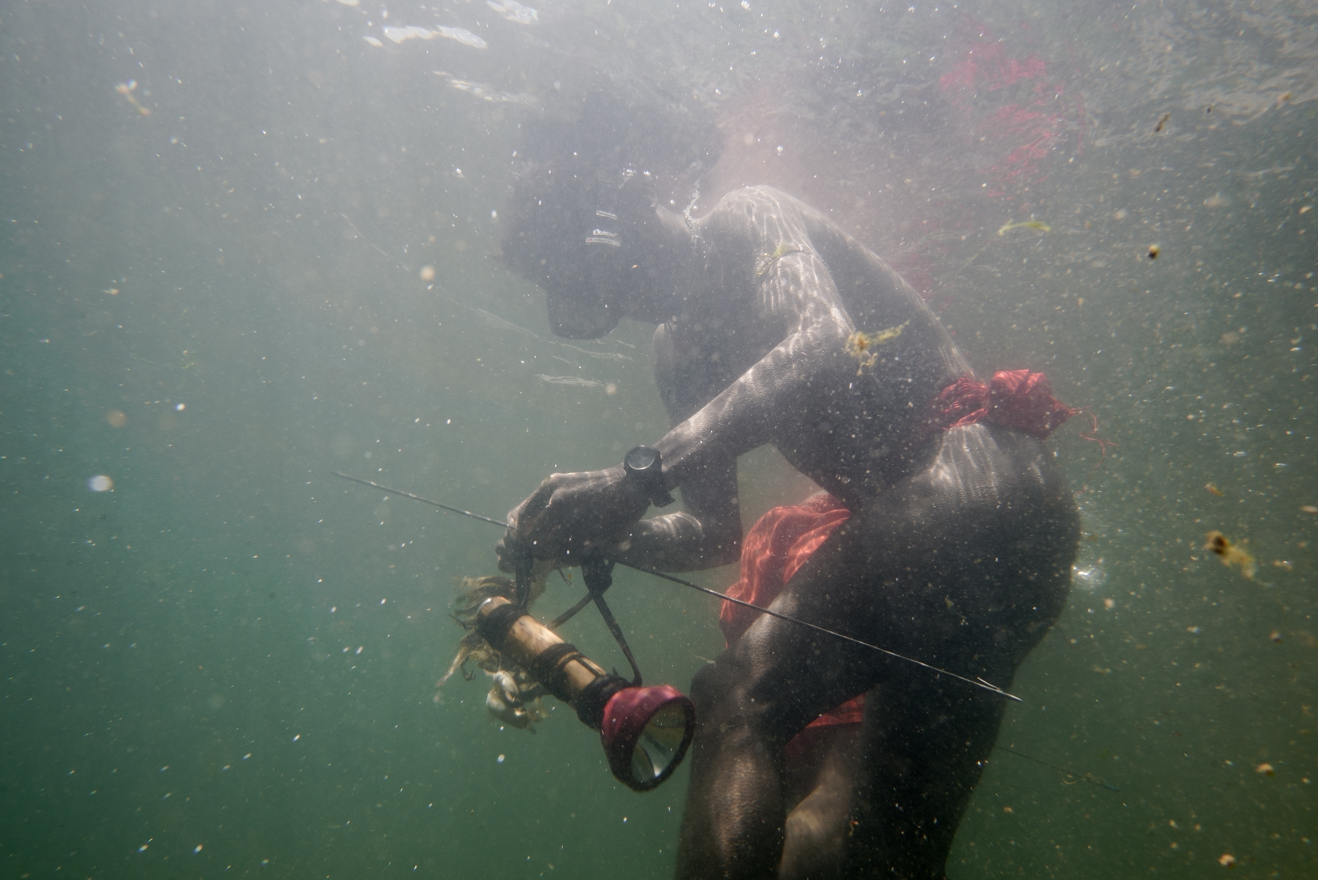 A person underwater, acting as one of the Guardians of Nature, uses a handmade fishing spear and a flashlight while hunting for fish in the Wild Philippines.